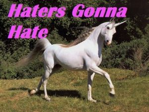 epic_haters_gonna_hate_memes_640_09